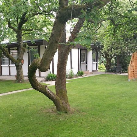 Ferienhaus Gregor ビルケンヴェルダー エクステリア 写真